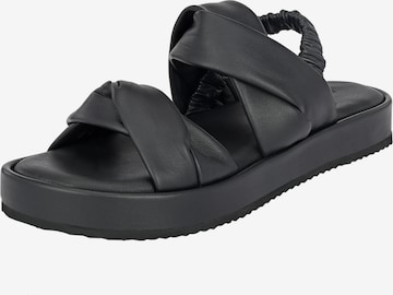 Crickit Strap Sandals ' JANEKE ' in Black: front