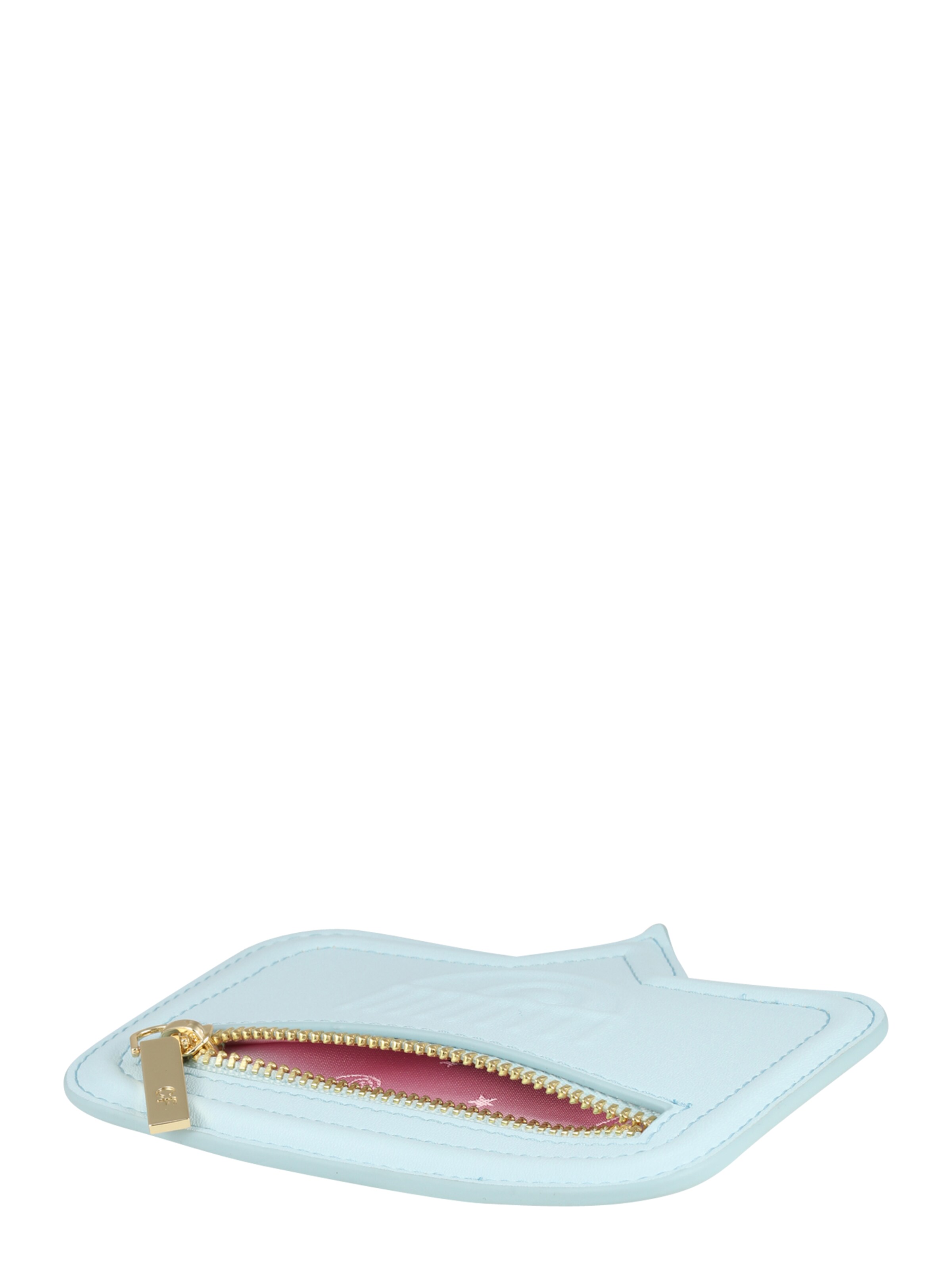 Frauen Schlüsselanhänger & Etuis Chiara Ferragni Etui 'RANGE' in Hellblau - QQ85074 Frauen Schlüsselanhänger & Etuis Chiara Ferragni Etui 'RANGE' in Hellblau - QQ85074