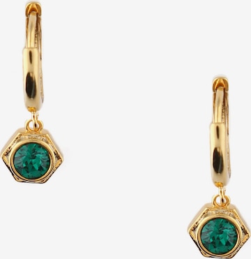 Orelia Earrings 'Hex' in Gold: front