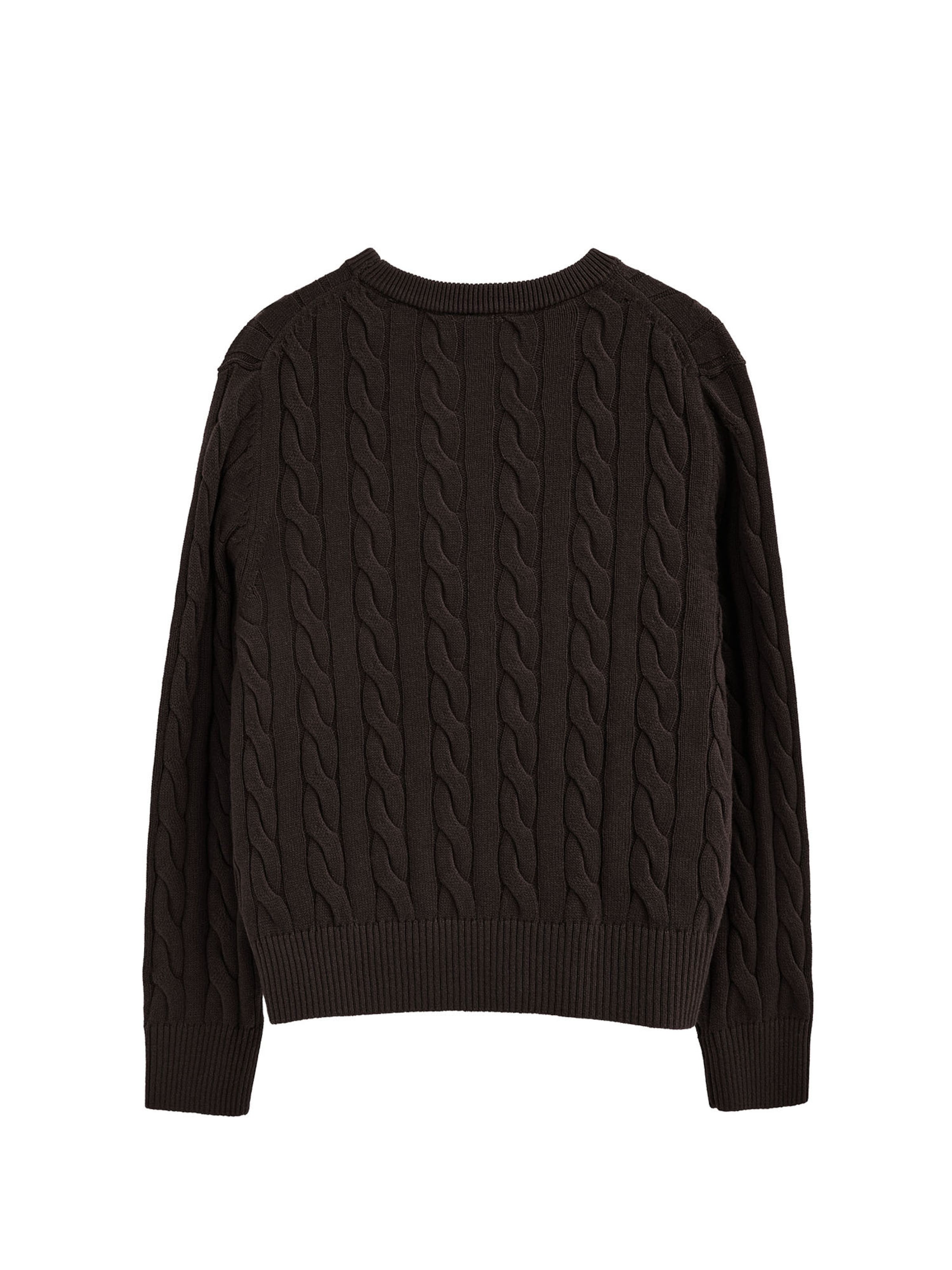 Polo Club Sweater 'RIGBY' in Brown