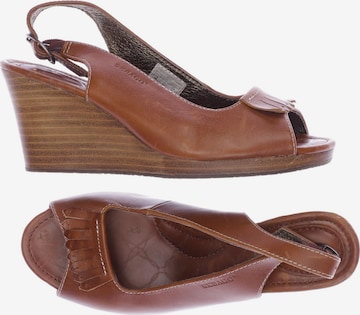 SEBAGO Sandals & High-Heeled Sandals in 37 in Brown: front