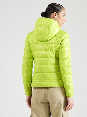 Blauer.USA - Chaqueta de entretiempo en verde