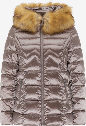 Usha Winter Jacket in Beige: front