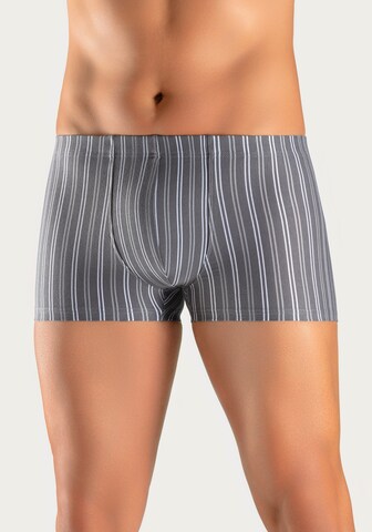 LE JOGGER Boxer shorts in Grey: front