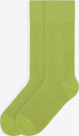 Von Jungfeld Socken 'Signature Innenbund' in Grün: Vorderseite