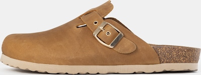 Bayton Pistokkaat 'Milky' värissä kameli, Tuotenäkymä