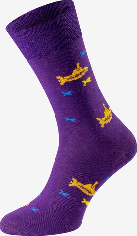 Chili Lifestyle Socks 'Banderole Leisure Socks' in Purple: front