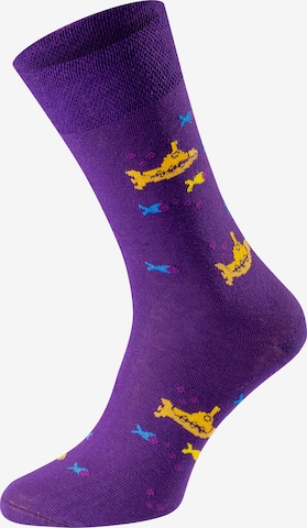 Chili Lifestyle Socks 'Banderole Leisure Socks' in Purple: front
