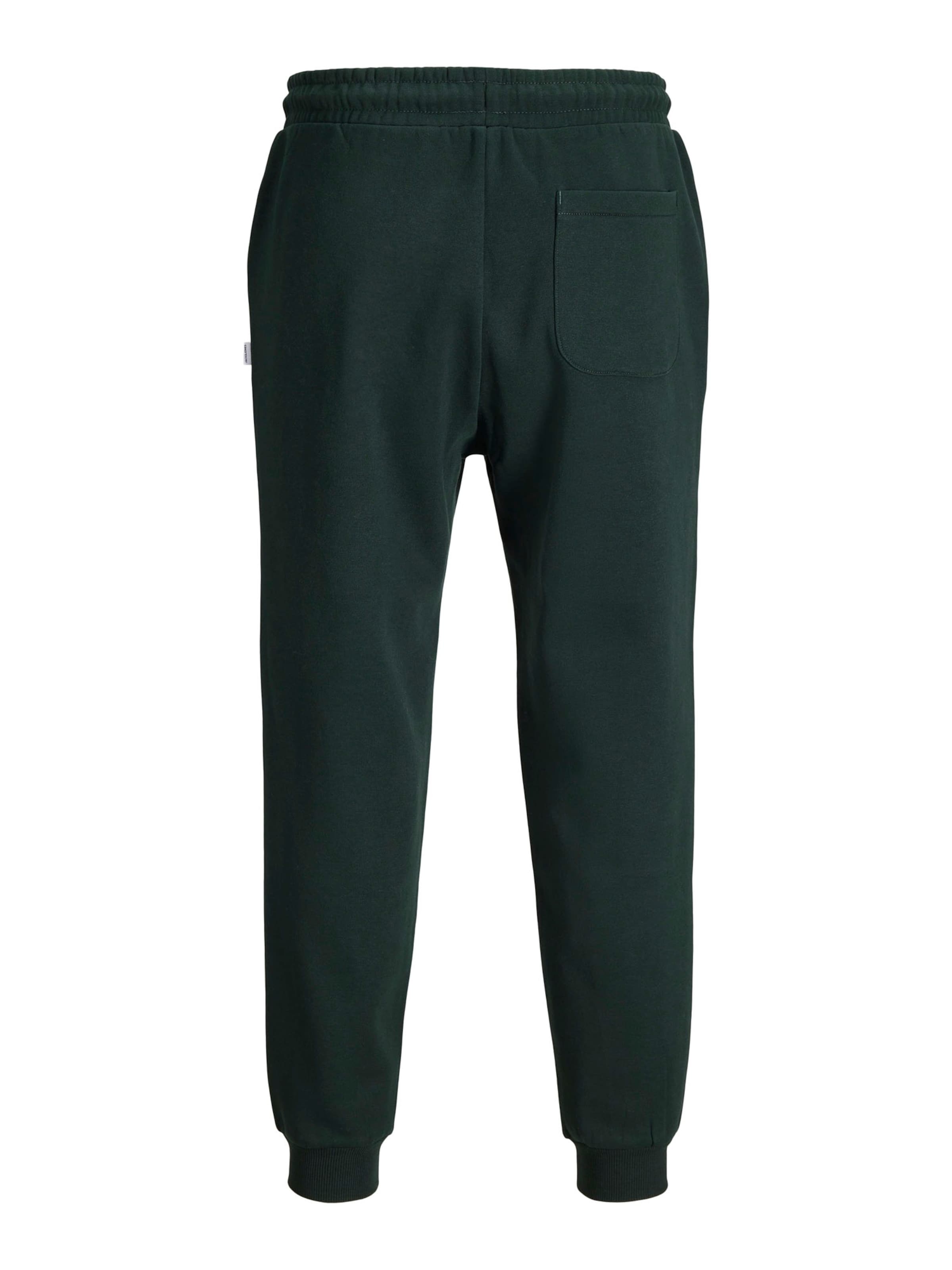 Effilé Pantalon 'JPSTGORDON JJBRADLEY' JACK & JONES en vert