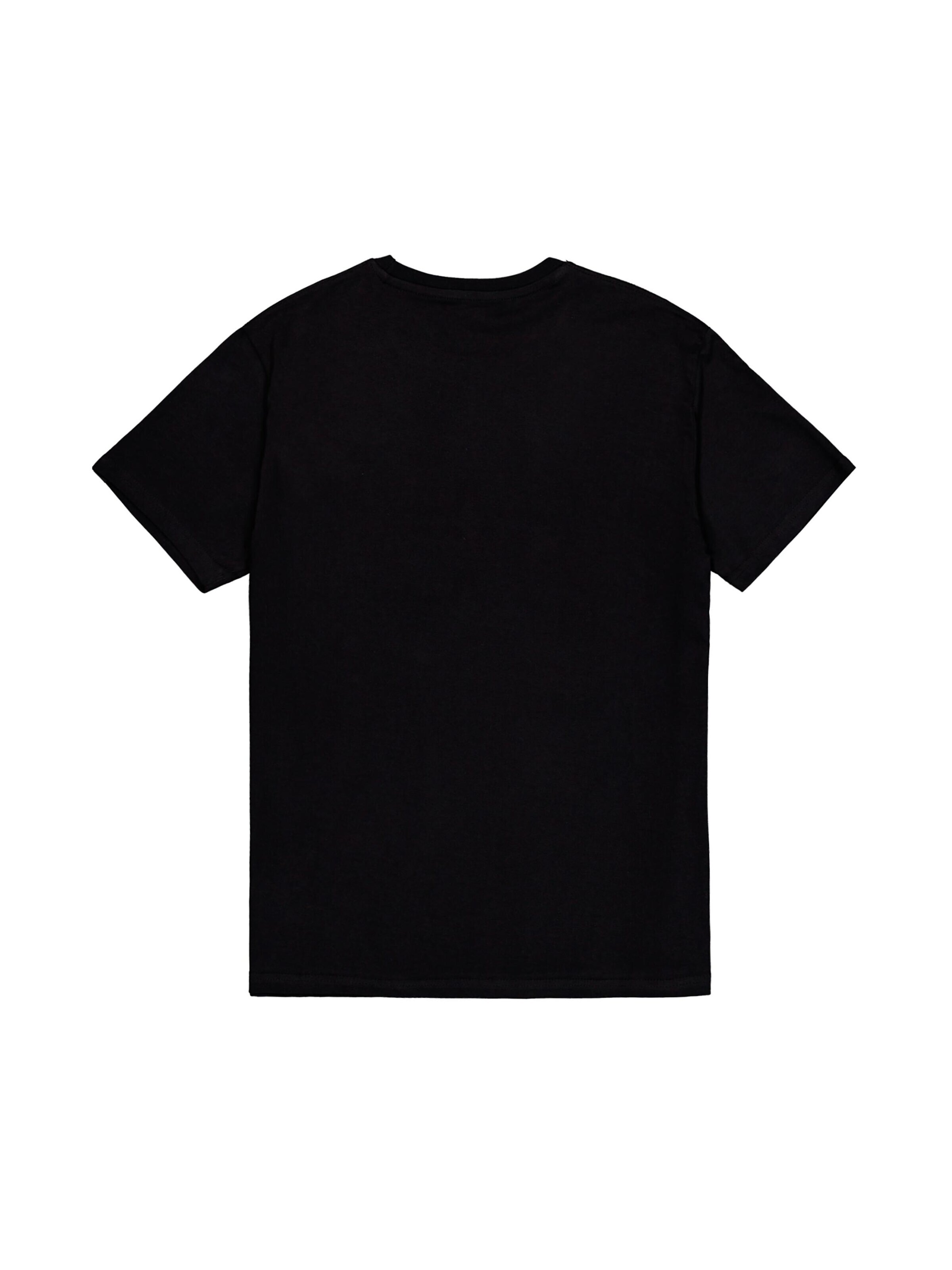 ALPHA INDUSTRIES Shirt 'Basic V-Neck'‌‌‌ in Schwarz