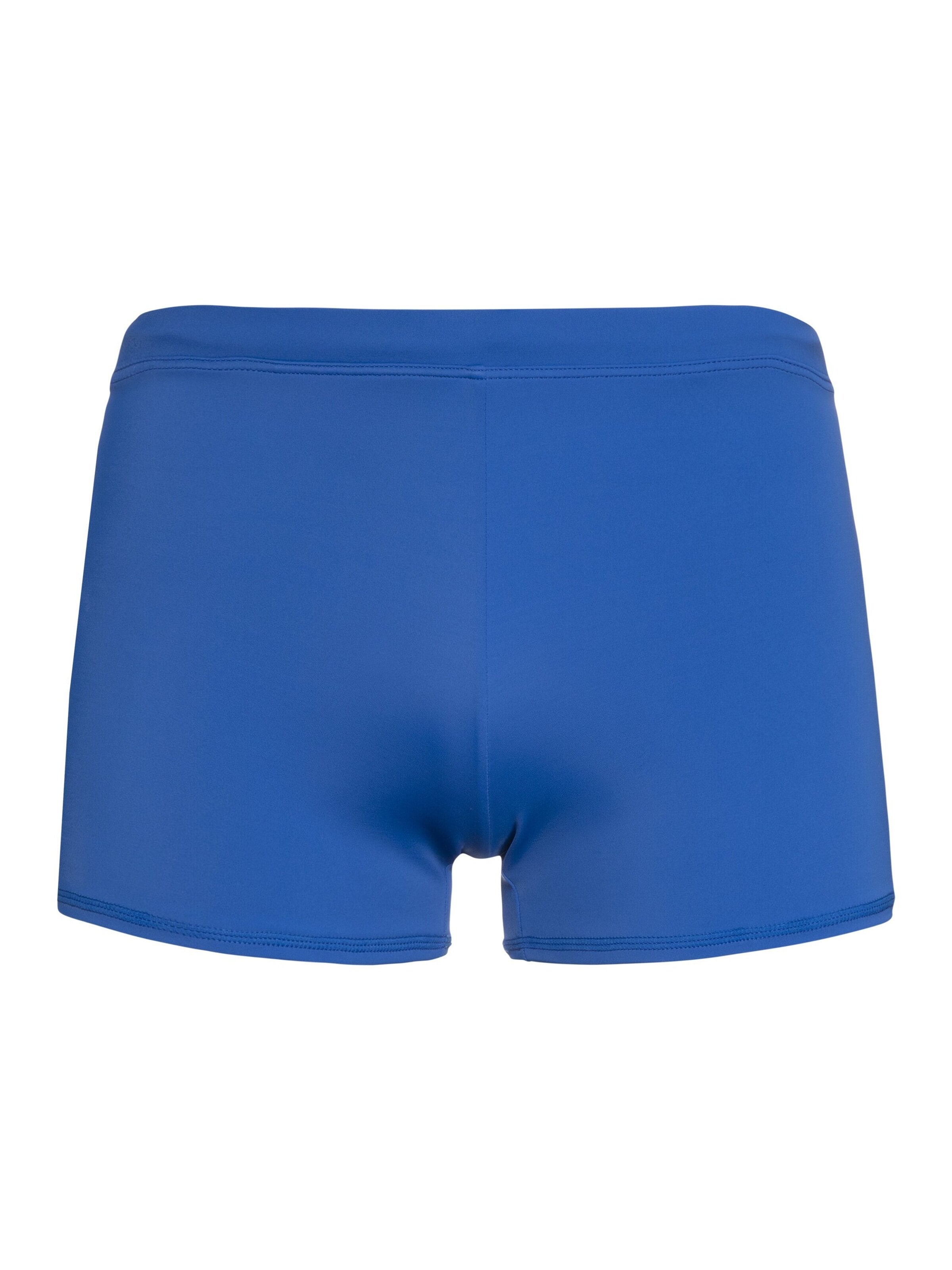 PROTEST Bathing trunks 'CARST' in Blue: front