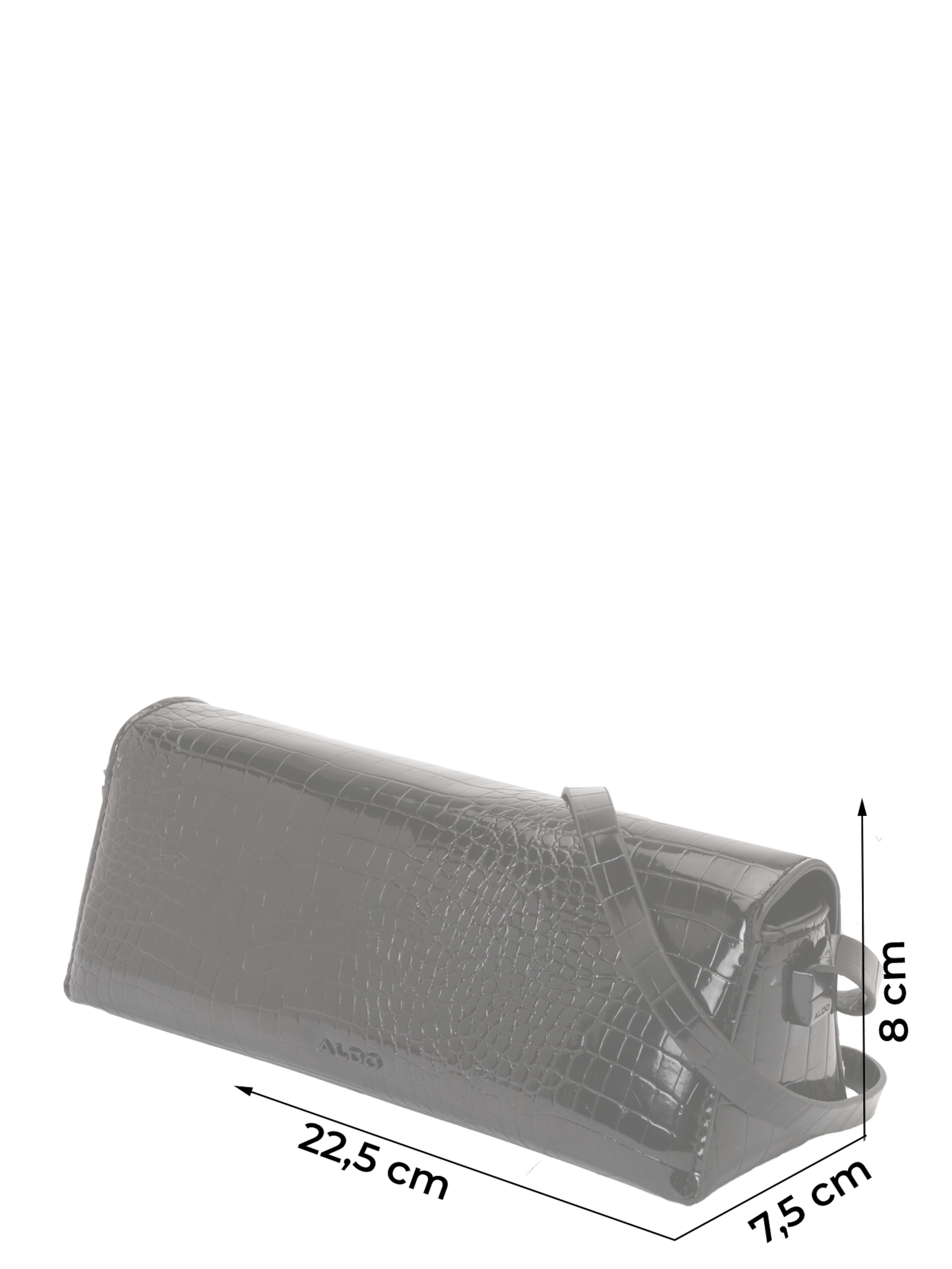 ALDO Schoudertas 'ALESSIANA' in Zwart