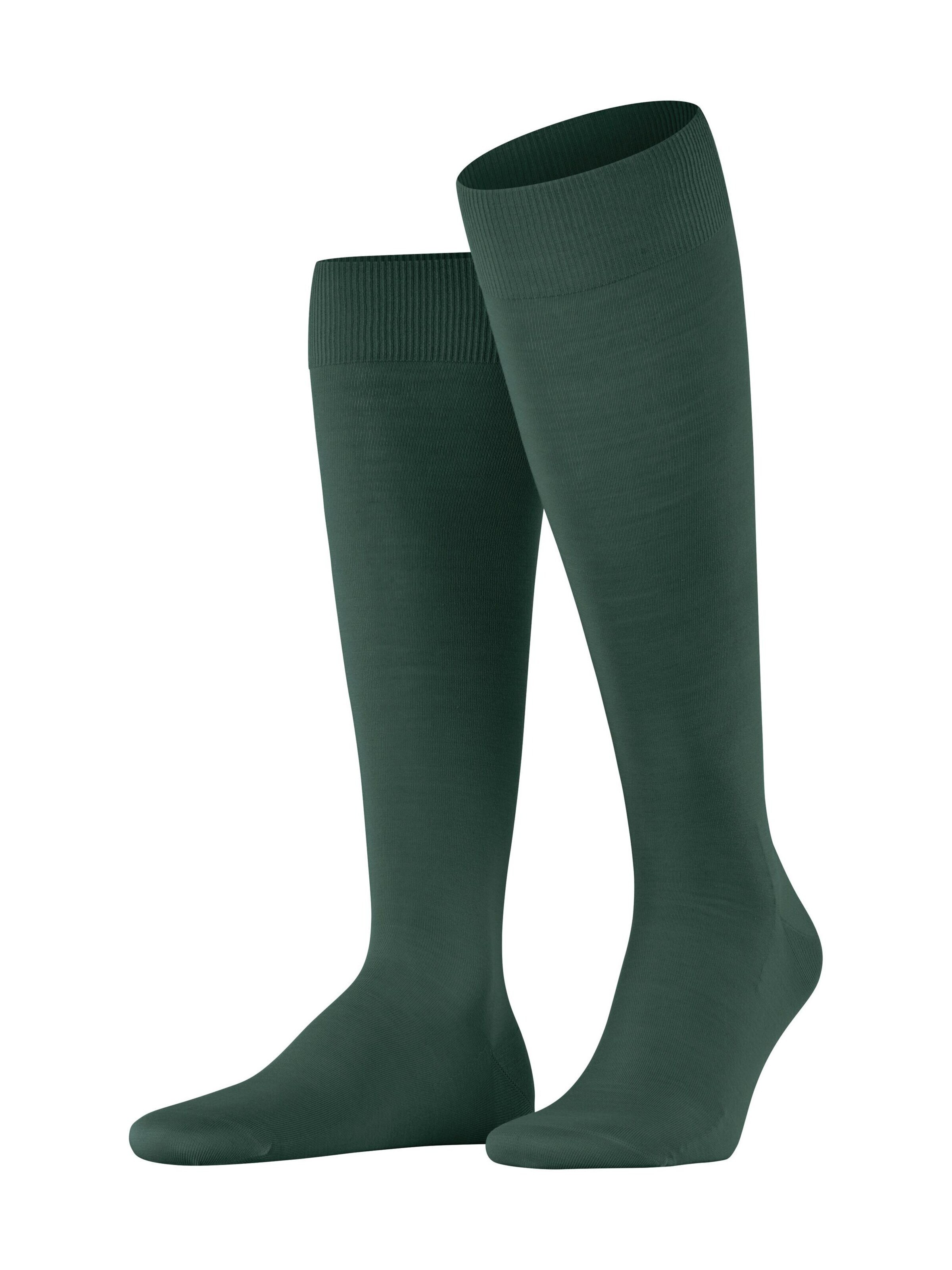 FALKE Kniestrümpfe 'ClimaWool'‌‌‌‌‌‌‌‌‌‌ in Grün: Vorderseite
