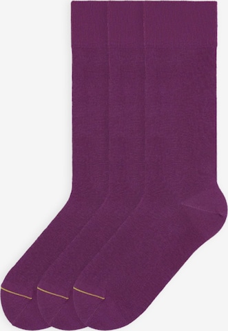 Von Jungfeld Socken 'Colour' in Pink: Vorderseite