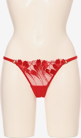 Bluebella Panty 'Colette' in Red: front