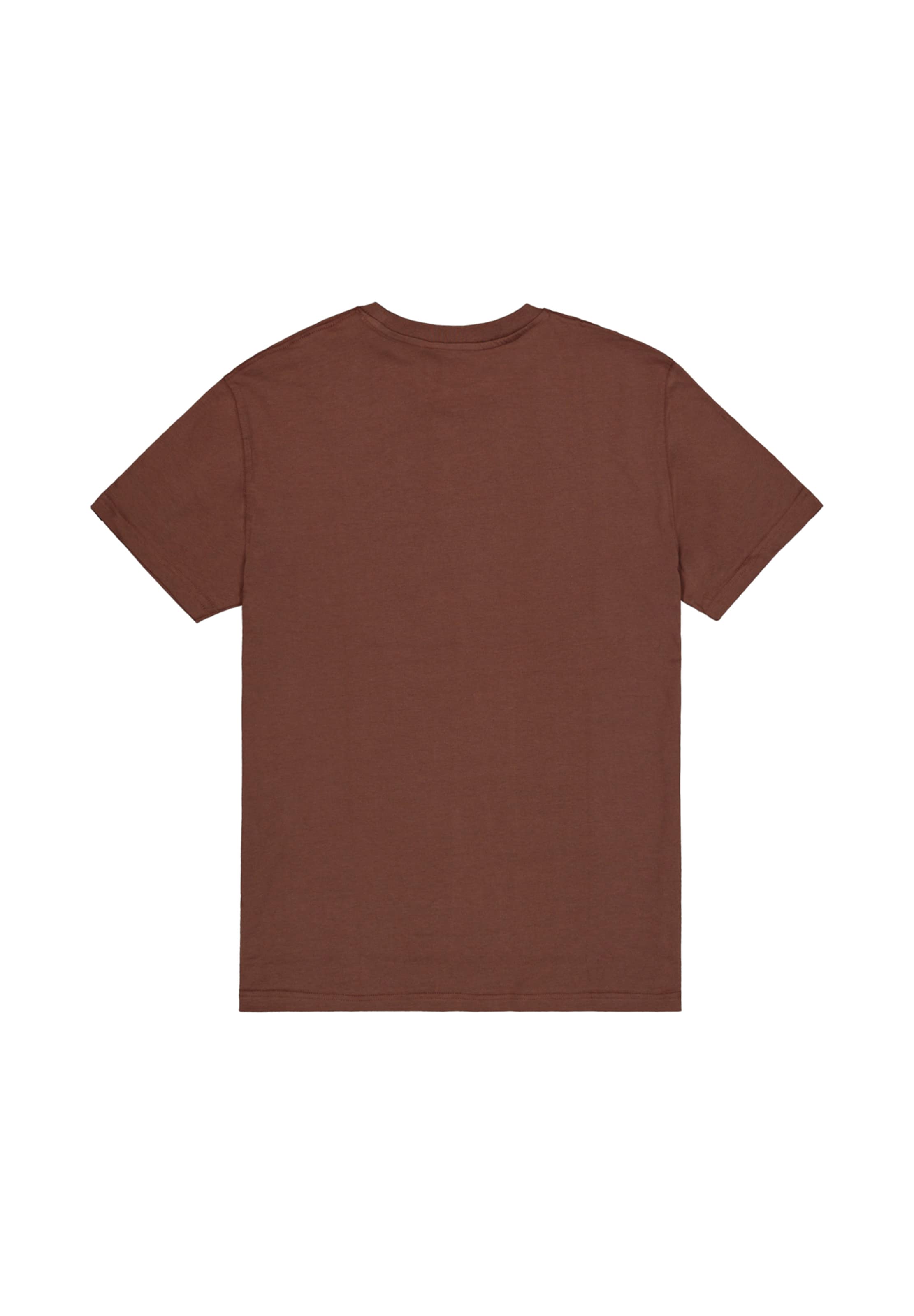 ALPHA INDUSTRIES - Camisa 'DTM' em castanho