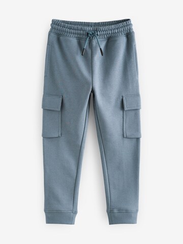 Loosefit Pantaloni di Next in blu