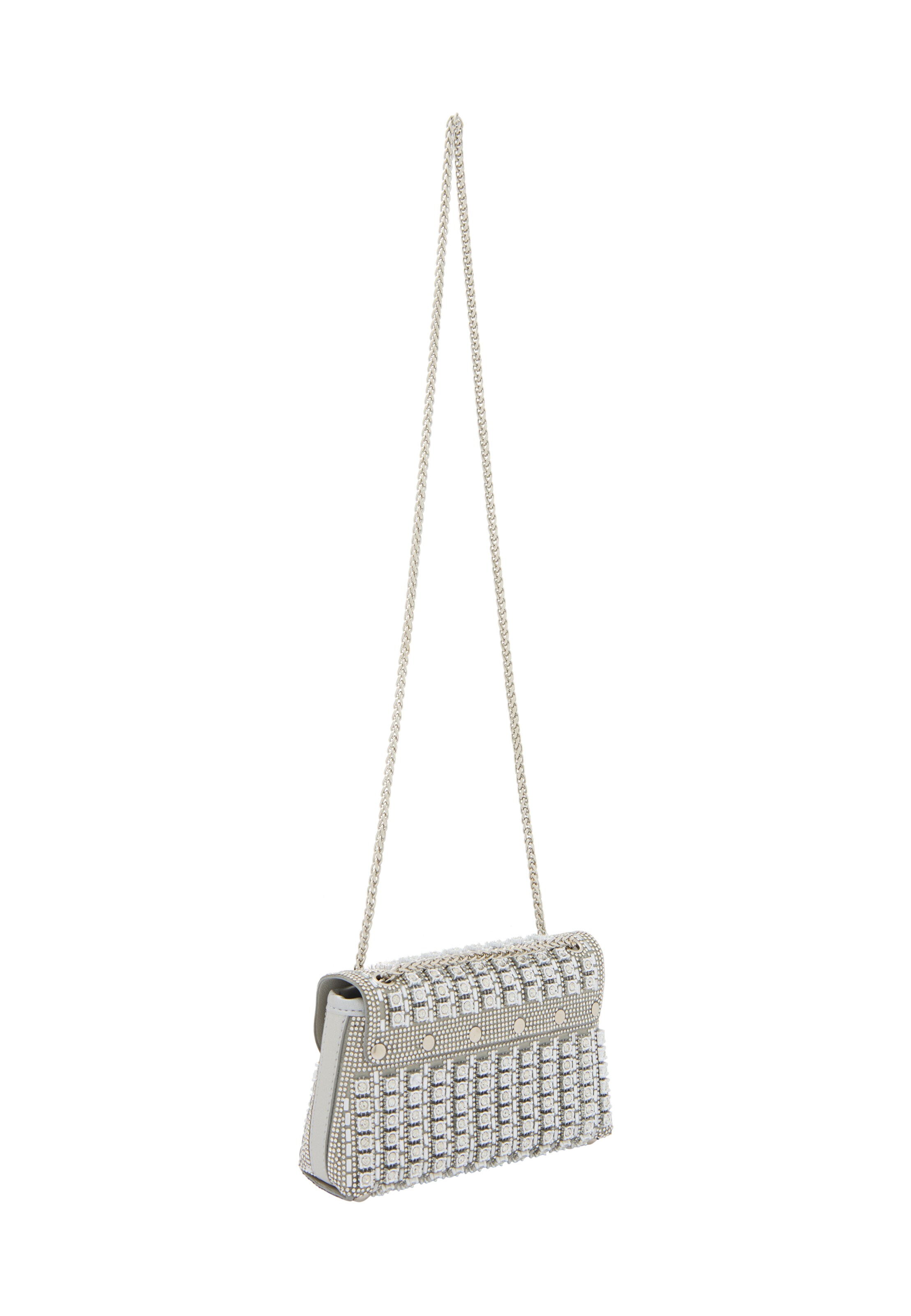 sidabrinė faina Delninė