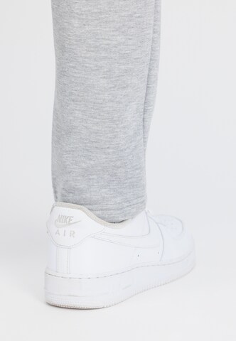 ALPHA INDUSTRIES Slimfit Hose in Grau