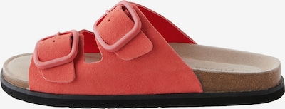 Next Pantofle - pink, Produkt