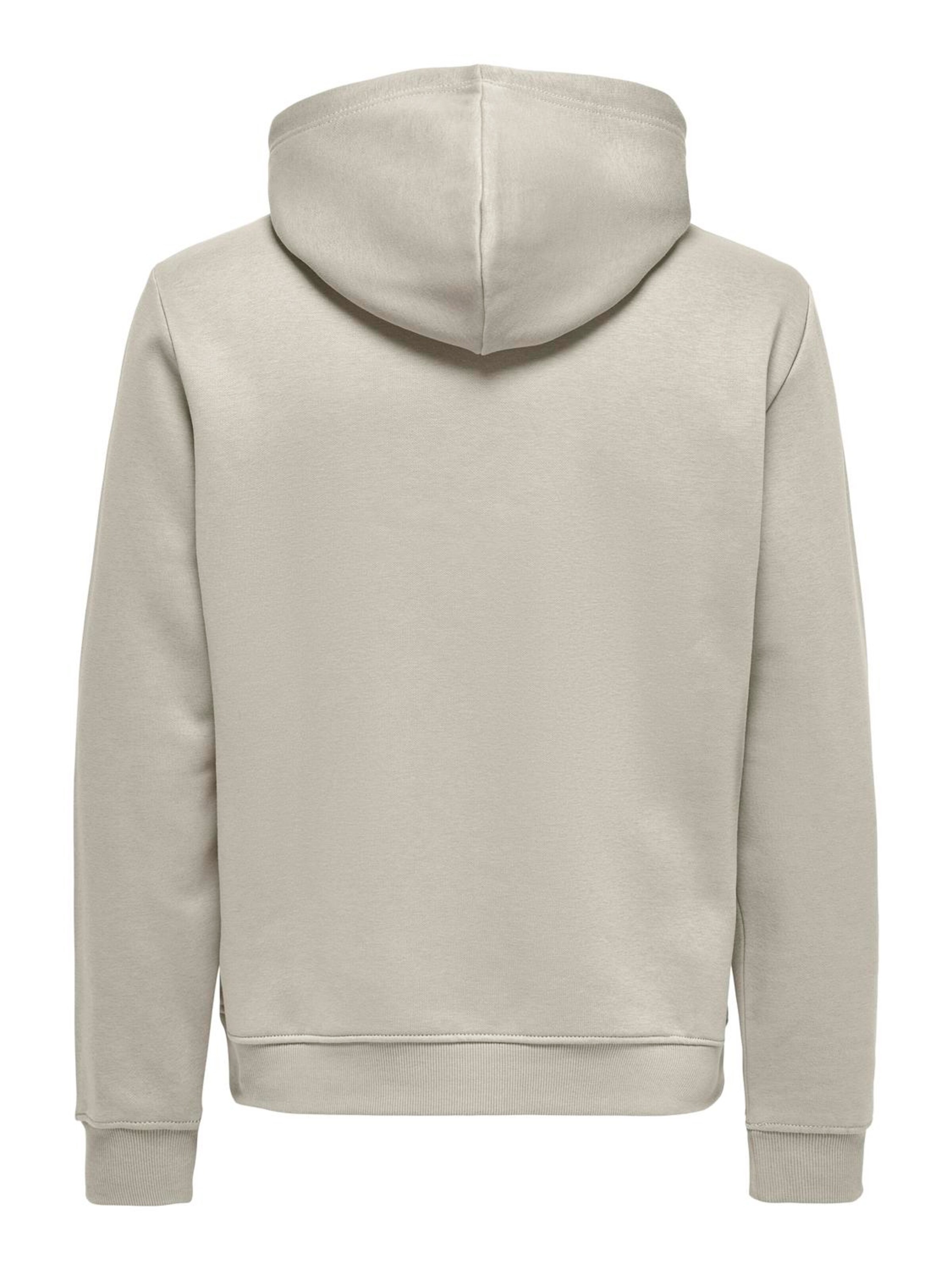Sweaters hoodies for men Buy online ABOUT YOU