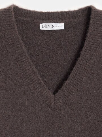 Dilvin Sweater 'Pullover' in Brown