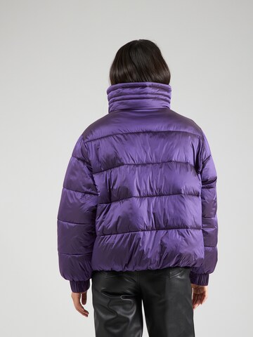 BOSS Winter Jacket 'Padina' in Purple