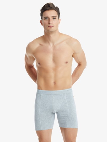 Blackspade Boxershorts in Grijs: voorkant