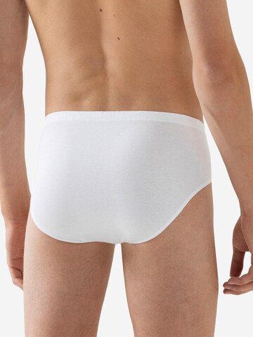 Mey Slip 'Casual Cotton'‌‌‌‌‌‌‌ in Weiß