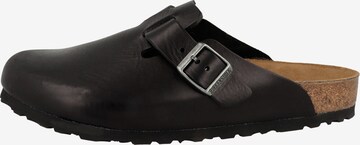 BIRKENSTOCK Clogs ' Boston ' in Zwart