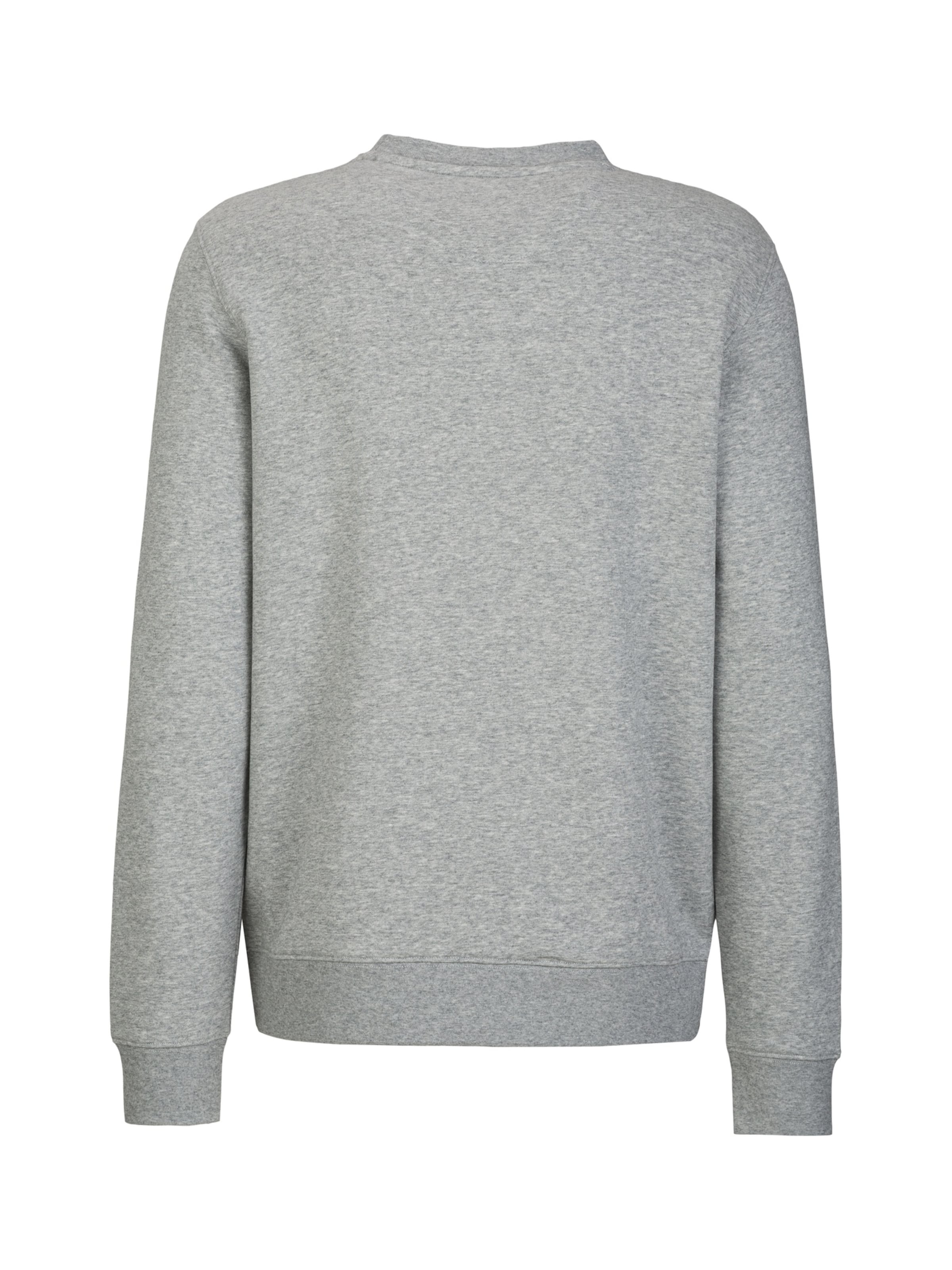 Felpa 'Nico Snowbear' di 19V69 ITALIA in grigio