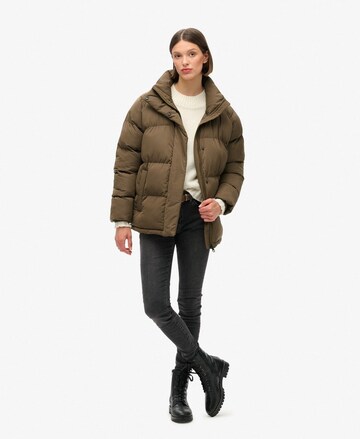 Superdry Winterjacke in Braun
