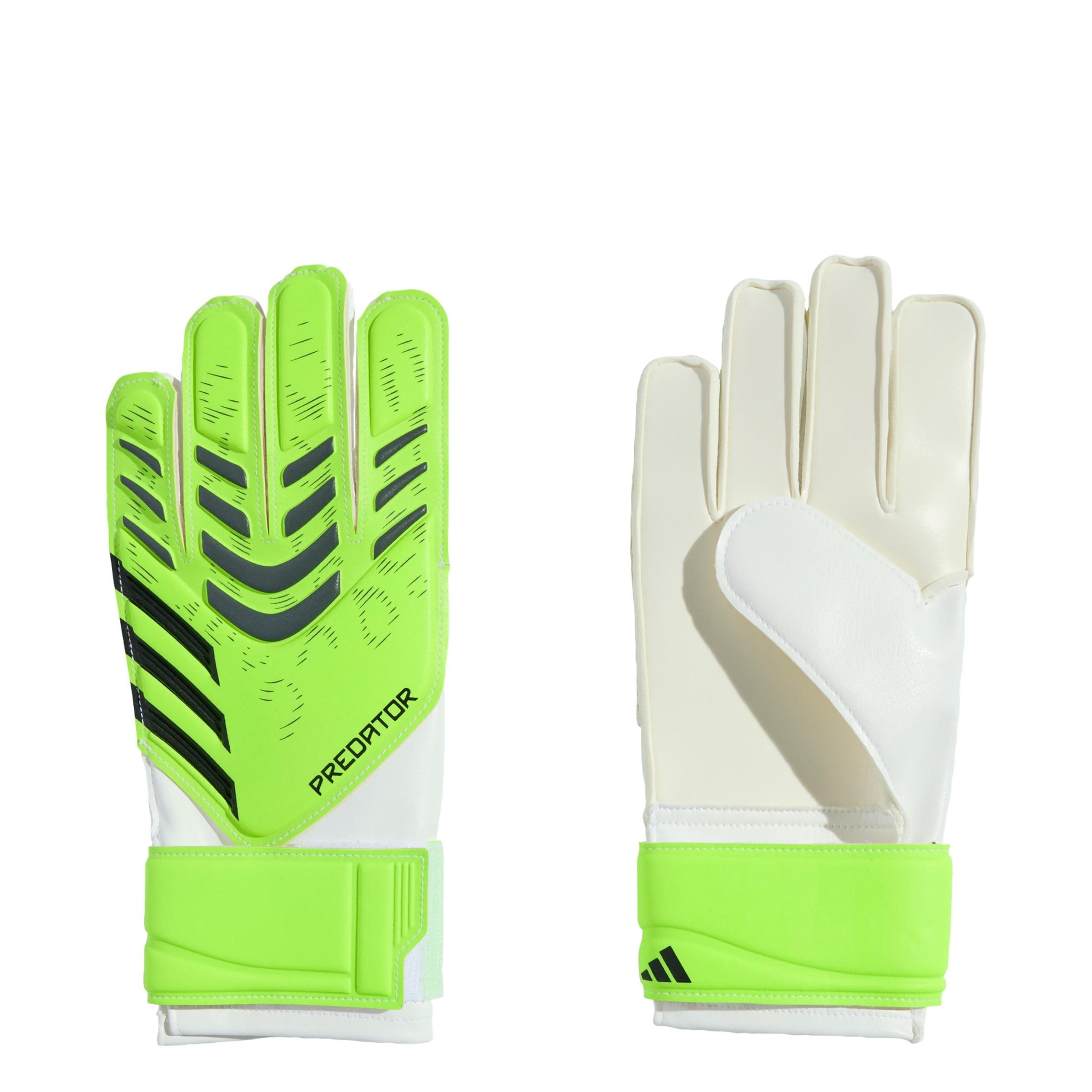 Gants de sport 'Predator' ADIDAS PERFORMANCE en vert : devant