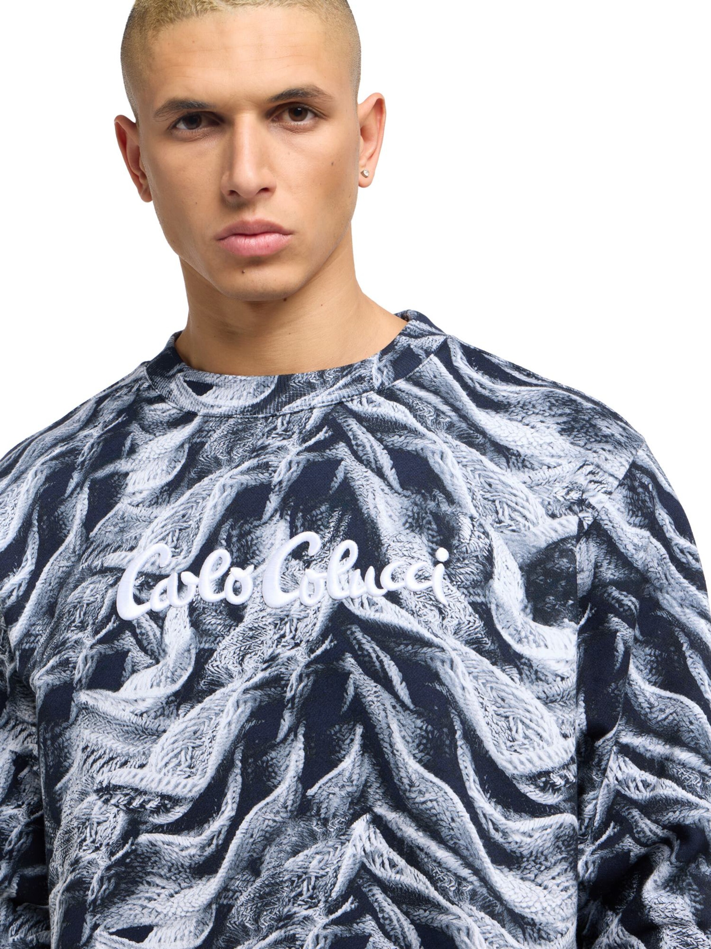 Carlo Colucci Sweatshirt ' Dotti ' in Grey