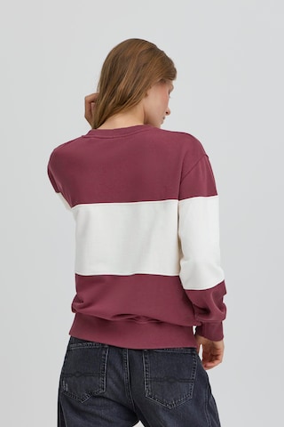 Ball Sweatshirt 'Montana' i brun