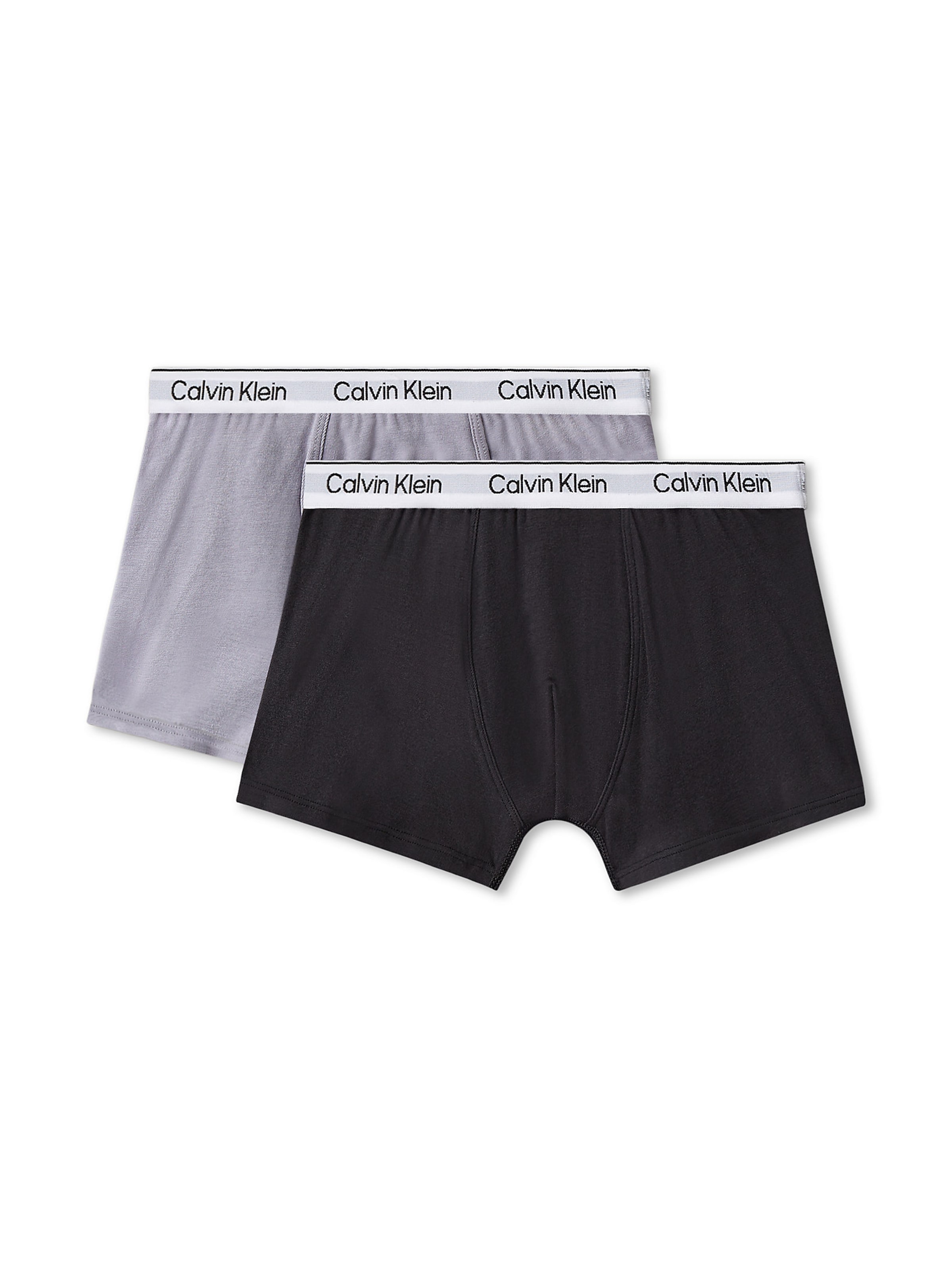Calvin Klein Underwear Underpants in Grey: front