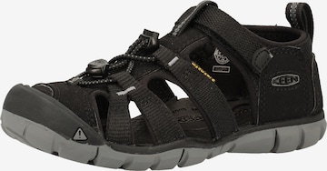 KEEN Sandalen in Zwart: voorkant