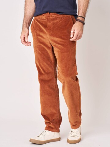 Regular Pantalon Deeluxe en marron