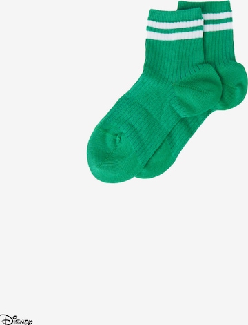 CALZEDONIA Socks in Green: front