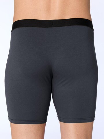 Albero Natur Long Johns 'Bio-Baumwoll-Herren Long Trunks' in Grey