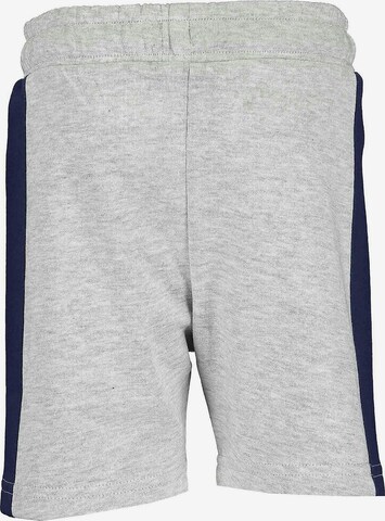 BLUE SEVEN Regular Pants in Grey