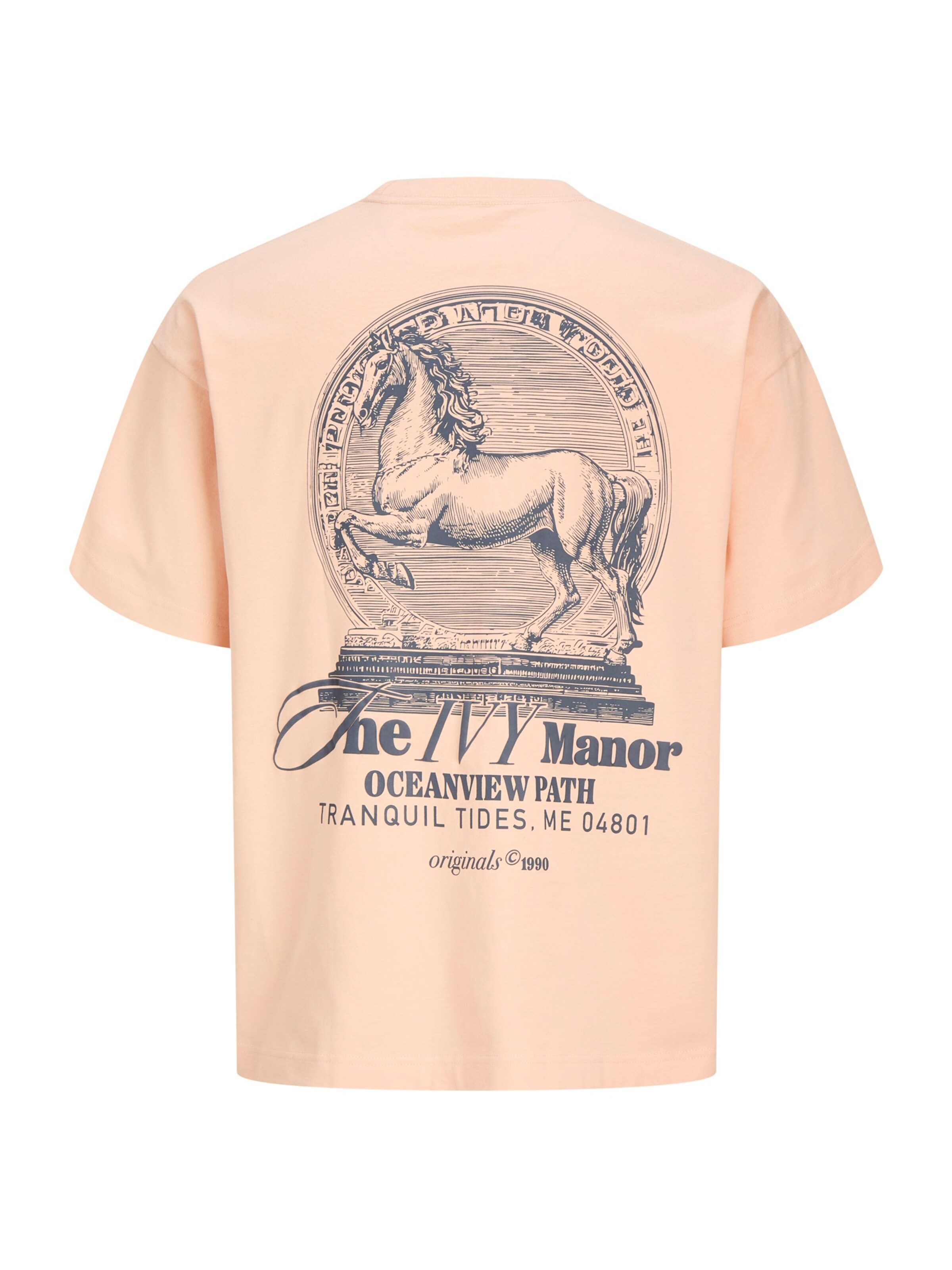 oranžinė JACK & JONES Marškinėliai 'JORMAINE'