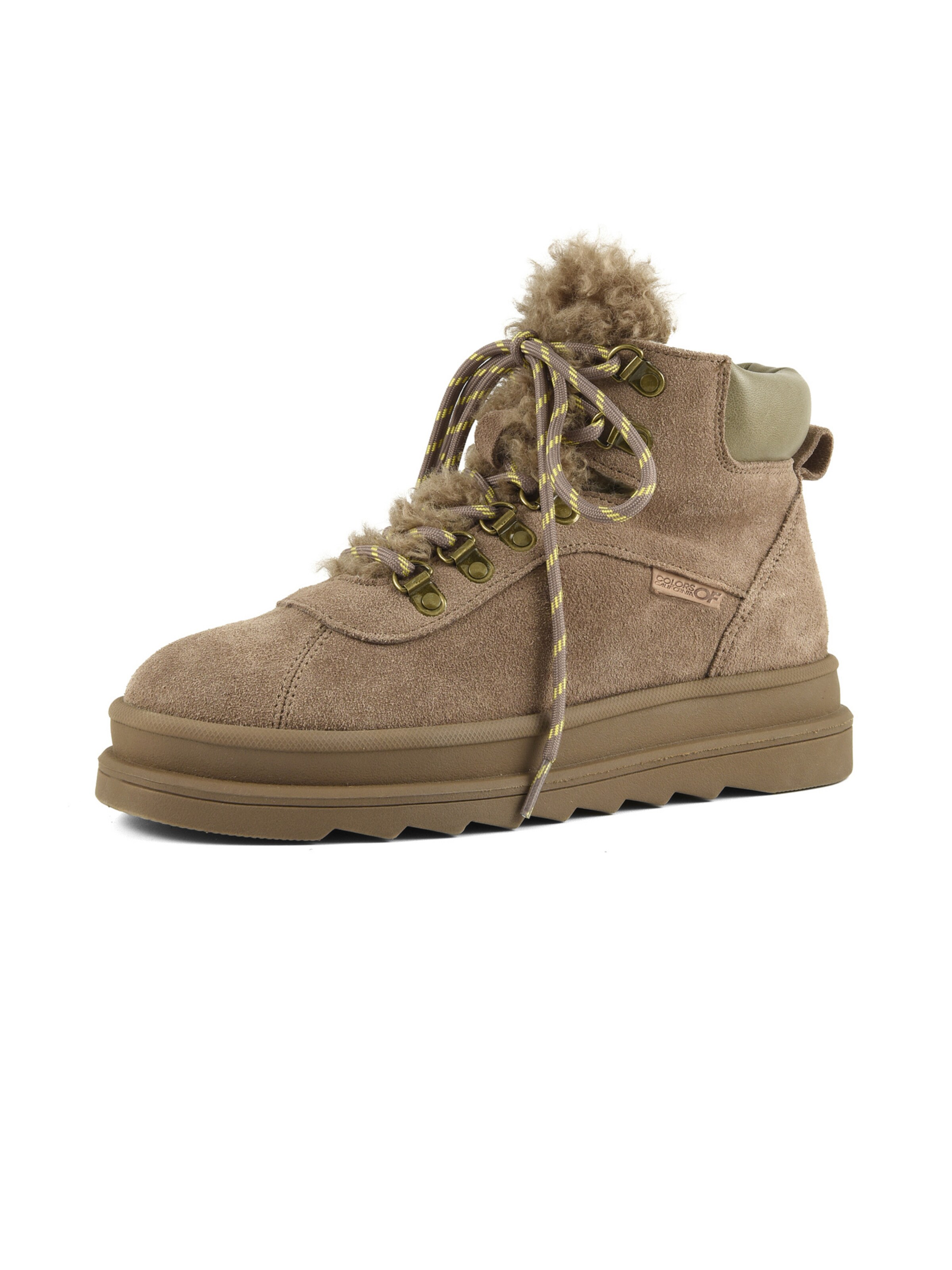 Stivaletto stringato di COLORS OF CALIFORNIA in marrone: frontale