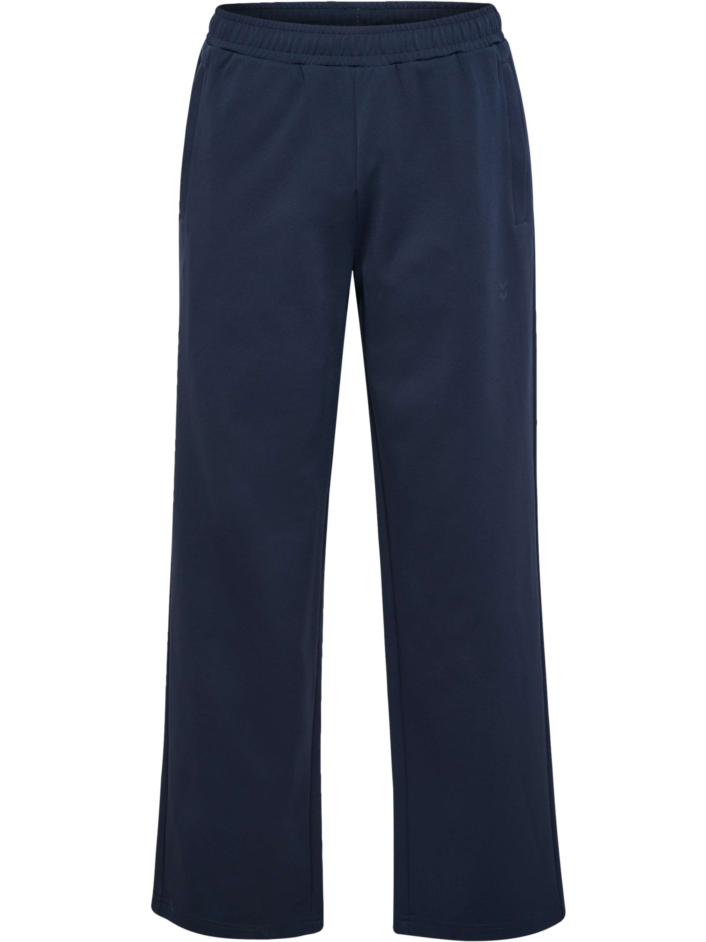 Regular Pantalon Hummel en gris : devant