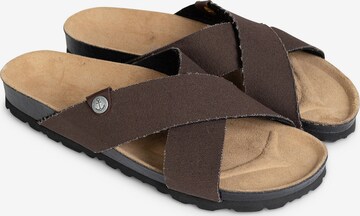 Bayton Mules 'Saxo' in Brown