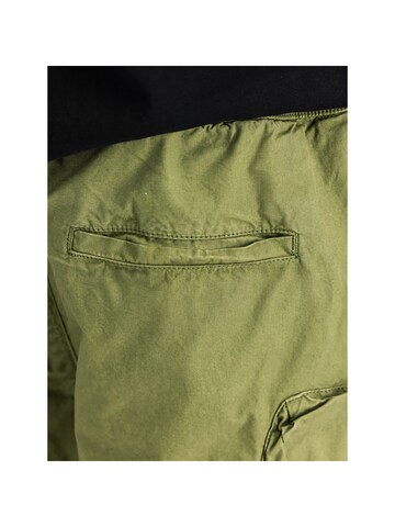 ALPHA INDUSTRIES Regular Pants 'Division' in Green
