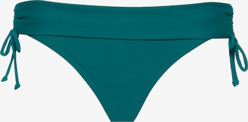 MAUI WOWIE Bikini Bottoms in Green: front