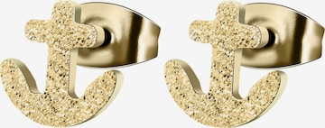 Akzent Earrings 'Anais, hautverträglich' in Gold: front