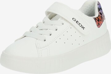 GEOX Sneakers in White: front