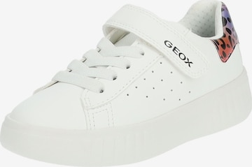 Baskets GEOX en blanc : devant